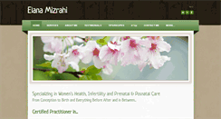 Desktop Screenshot of elanamizrahi.com